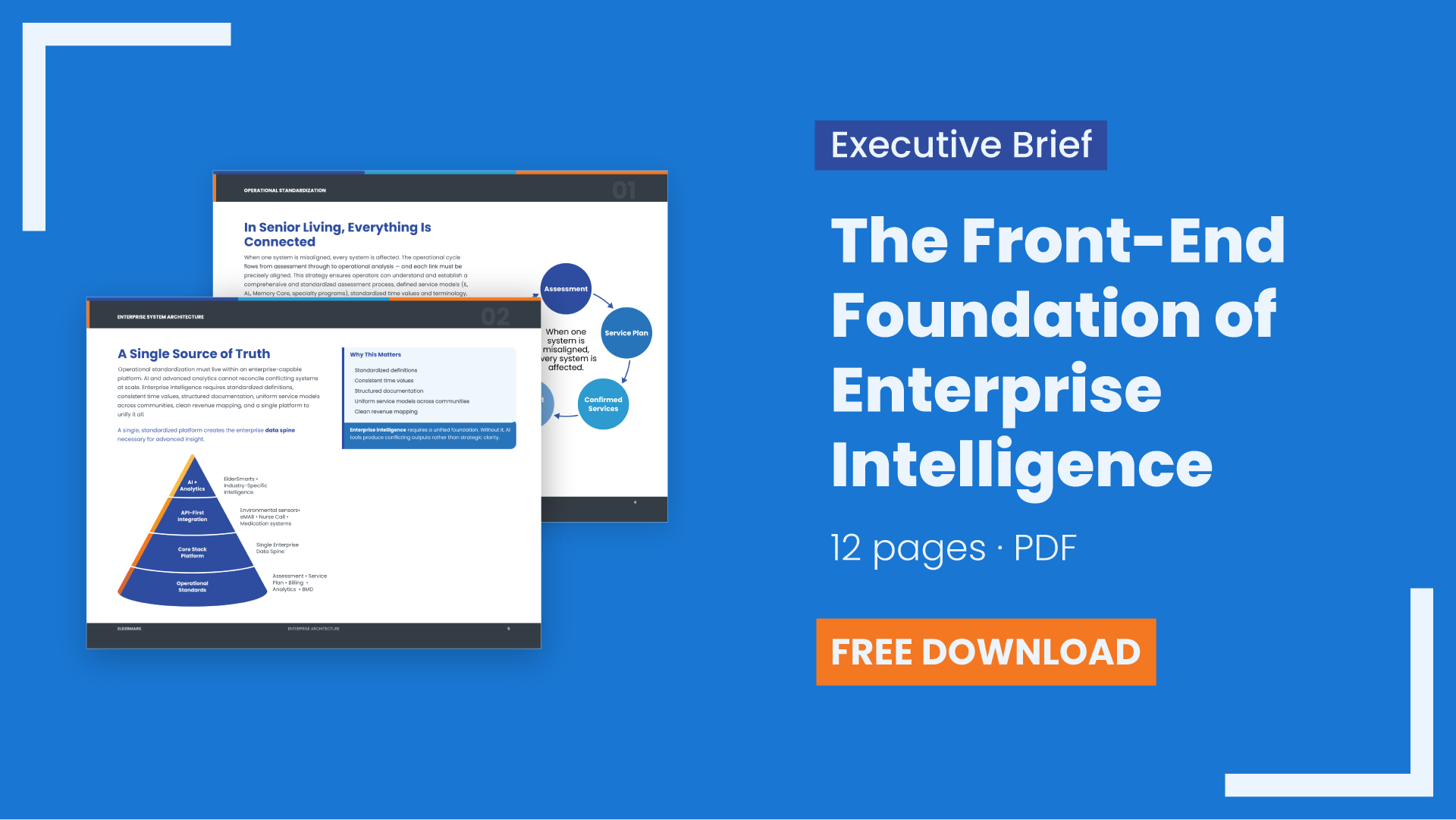 Eldermark enterprise intelligence executive brief resource